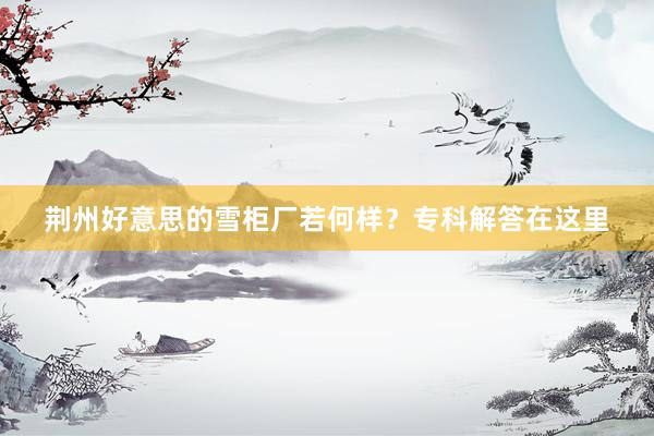 荆州好意思的雪柜厂若何样？专科解答在这里