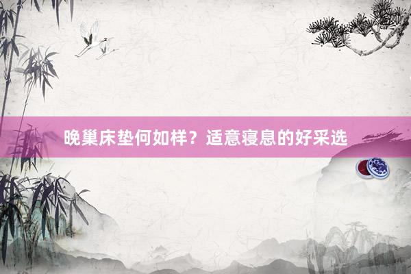 晚巢床垫何如样？适意寝息的好采选
