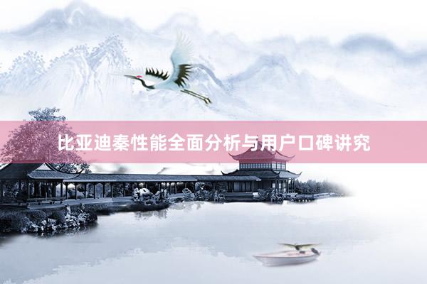 比亚迪秦性能全面分析与用户口碑讲究