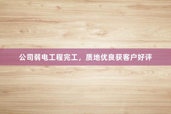 公司弱电工程完工，质地优良获客户好评